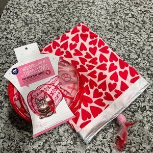 Valentine’s Day Cat Tunnel & Matching Cat Crinkle Sack